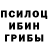 Галлюциногенные грибы Magic Shrooms ESTAROSSA 77