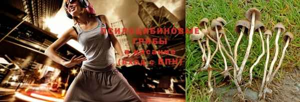 стафф Алексеевка
