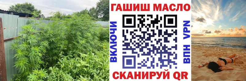 ТГК Wax  Лодейное Поле 